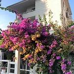 Ascot Bueyuekada Hotel