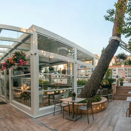 Ascot Bueyuekada Hotel 4*