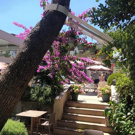 Hotel Ascot Bueyuekada Adalar