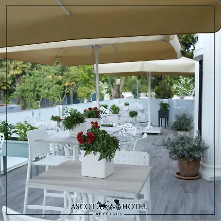 Ascot Bueyuekada Adalar