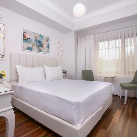 Ascot Bueyuekada Hotel