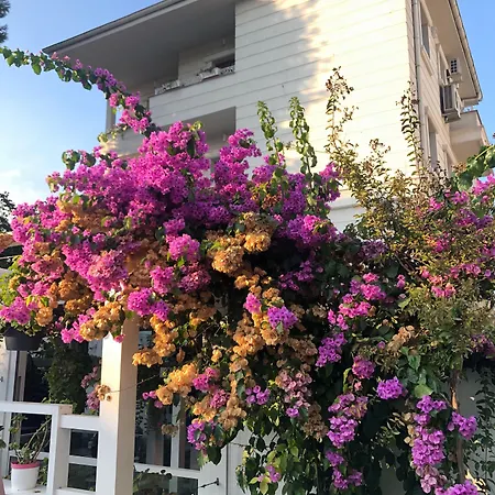 Ascot Bueyuekada Hotel