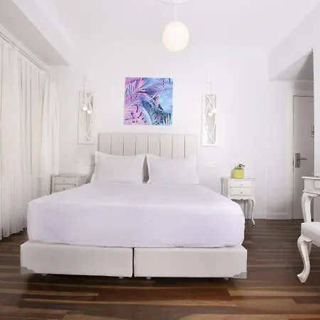 Hotel Ascot Bueyuekada