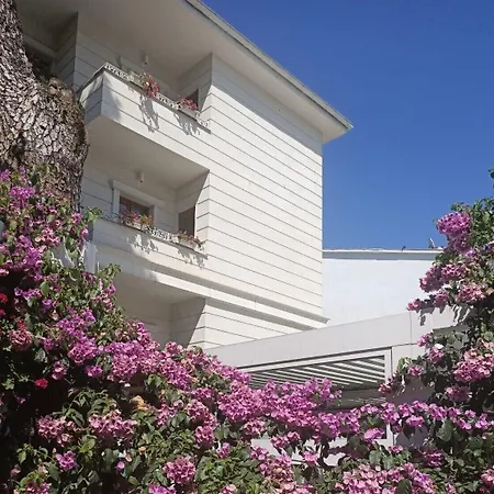 Hotel Ascot Bueyuekada Adalar