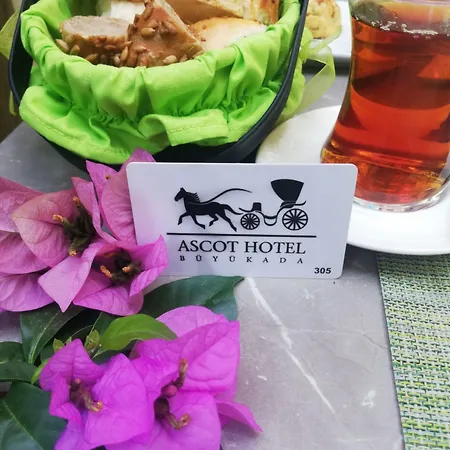 Ascot Bueyuekada Hotel