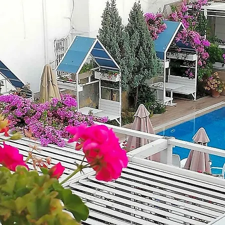 Hotell Ascot Bueyuekada