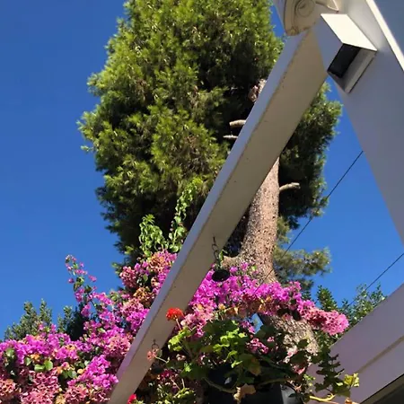 Ascot Büyükada Hotel Adalar