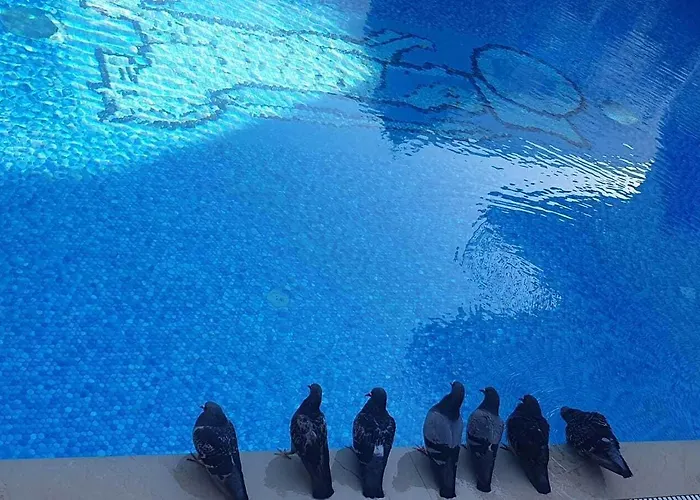 Szálloda Ascot Bueyuekada