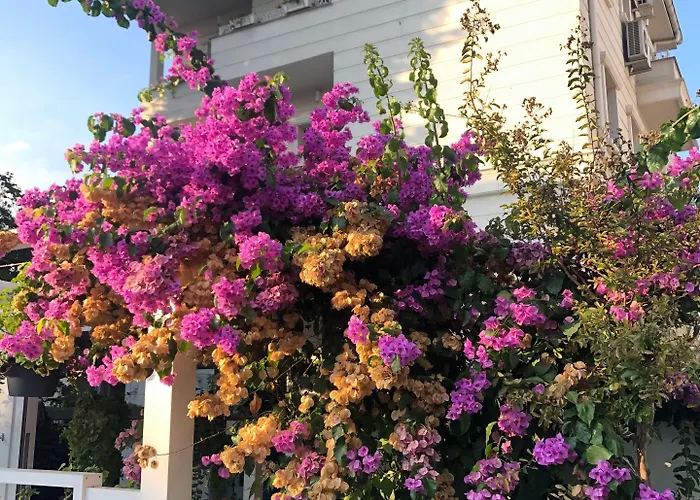 Ascot Bueyuekada Szálloda