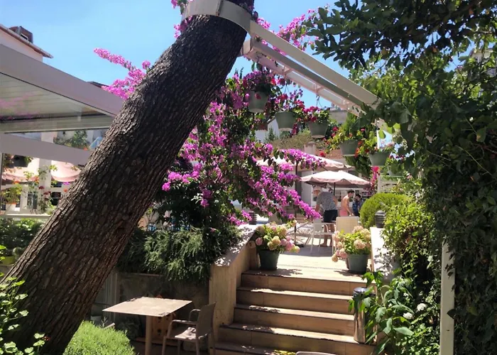 Ascot Bueyuekada Adalar