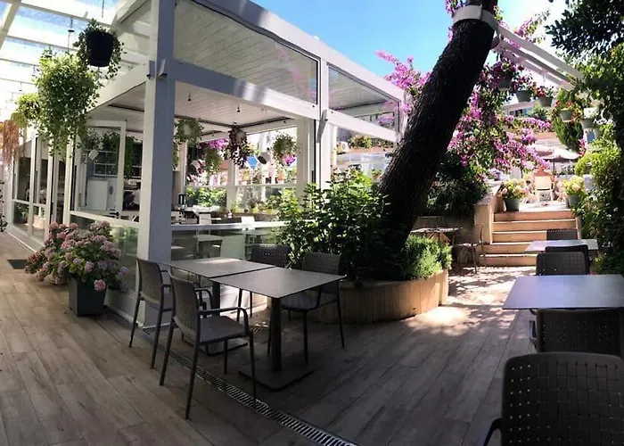 Ascot Bueyuekada Szálloda